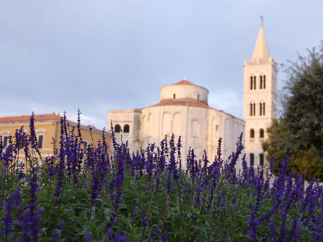 Zadar Zadar