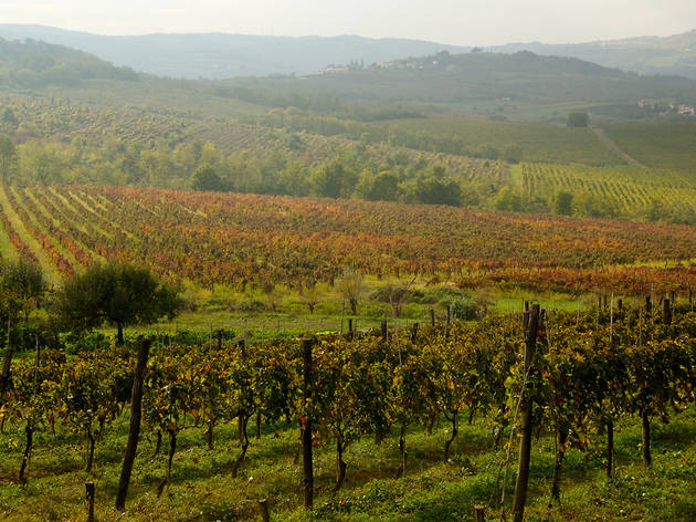 Istria Istria