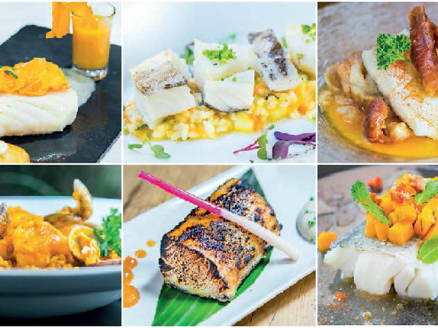 Bacalao 2015 Bacalao 2015
