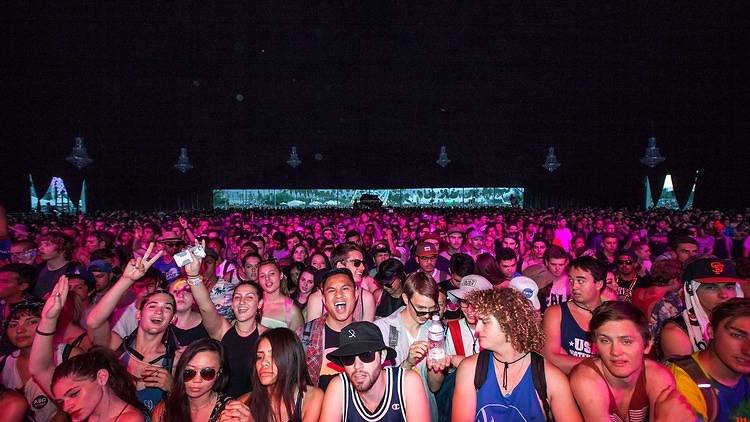 coachella crowd