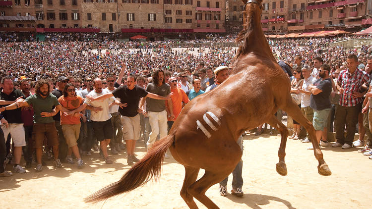 Palio