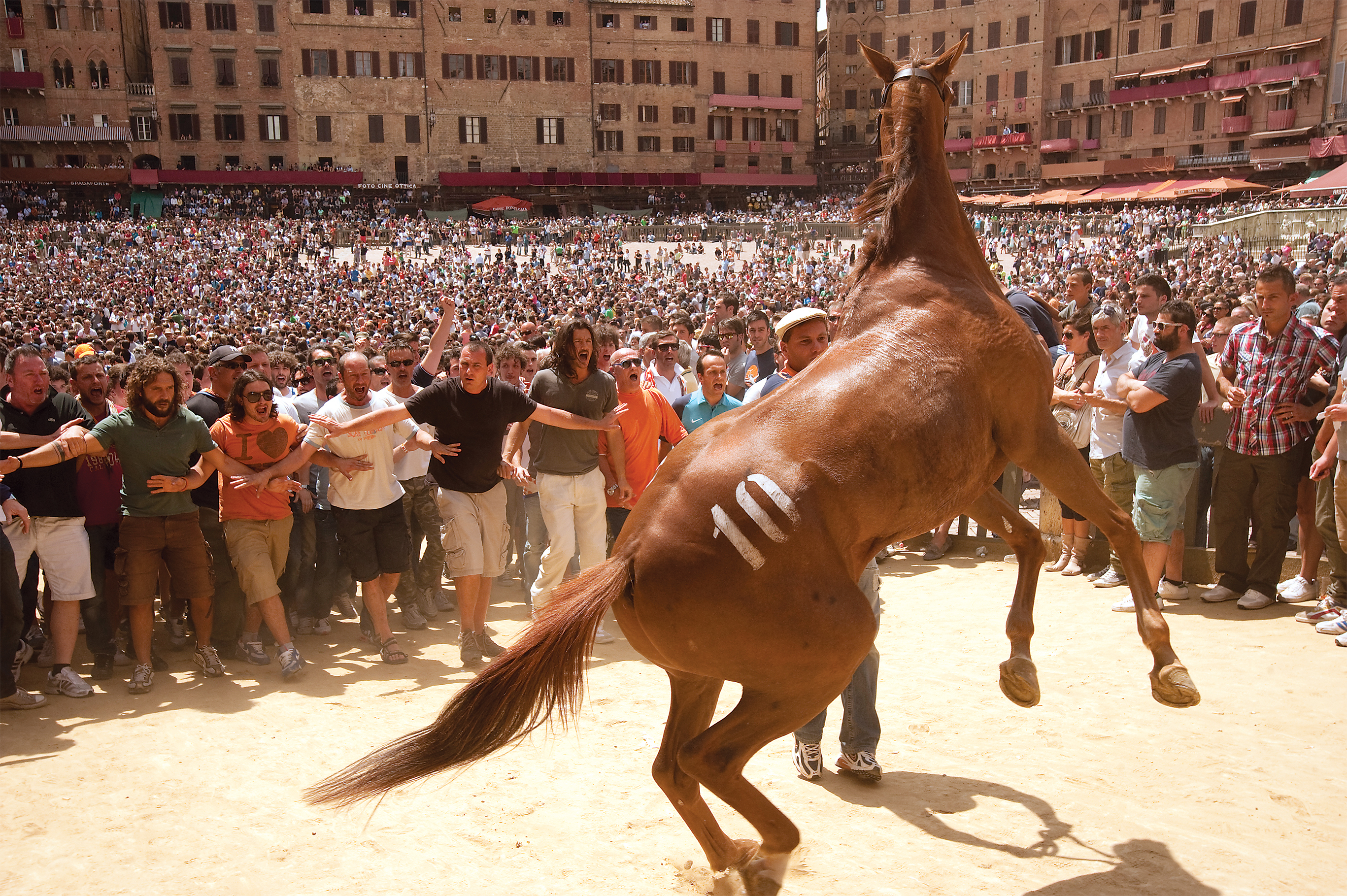Palio 2015, directed by Cosima Spender | Film review