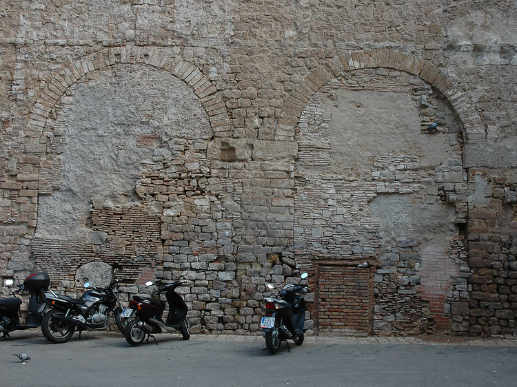 Roman Aqueduct