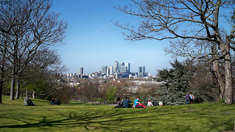 Picnic in Green Park