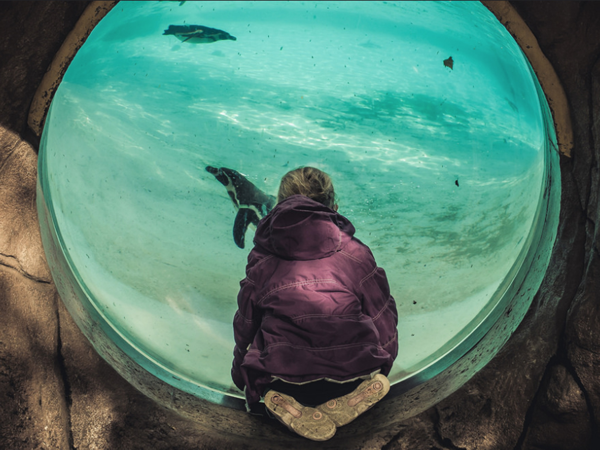 24 brilliant pictures of sunny London