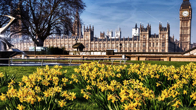 Sunshine over Parliament