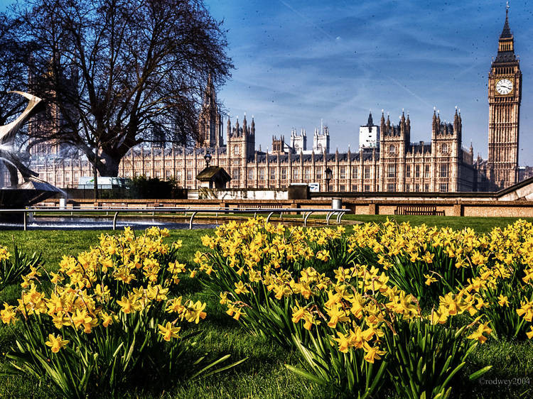 Sunshine over Parliament