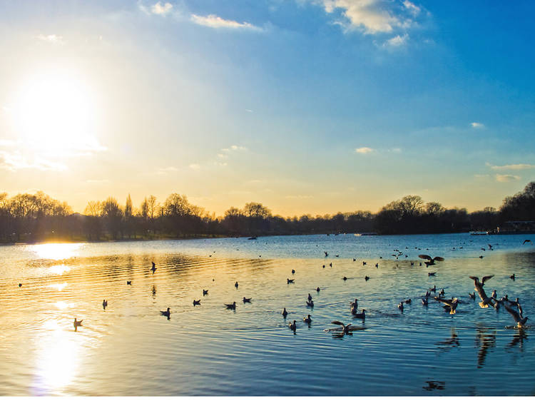 Hyde Park pond