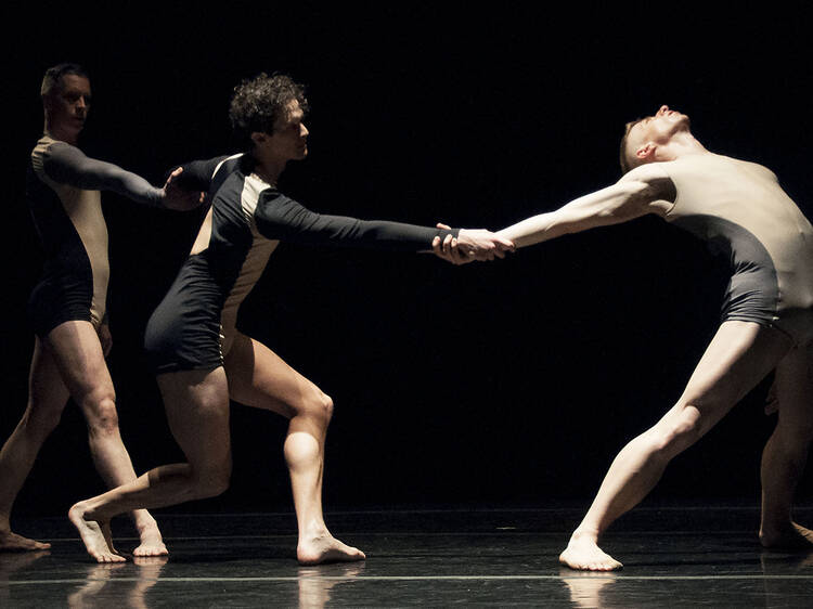 Check out these shots of the Stephen Petronio Company