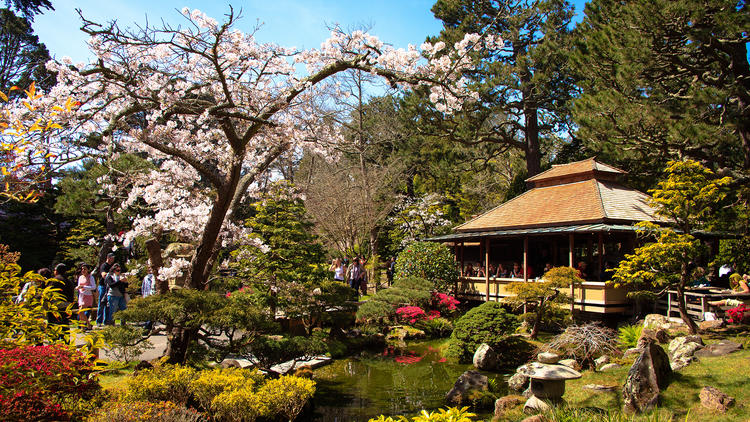 Japanese Tea Garden