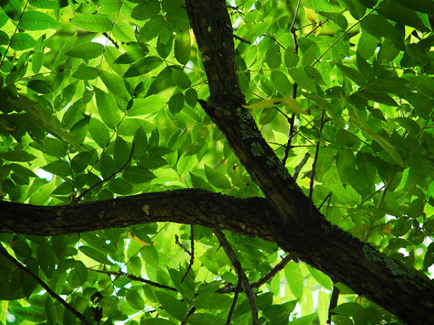 Le Jardin Sauvage Saint-Vincent Le Jardin Sauvage Saint-Vincent