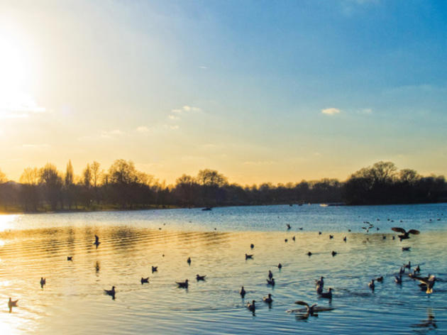 24 glorious pictures of sunny London 24 glorious pictures of sunny London
