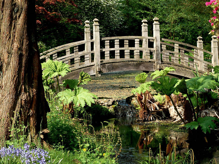 18 sunny pictures of botanical gardens in Birmingham