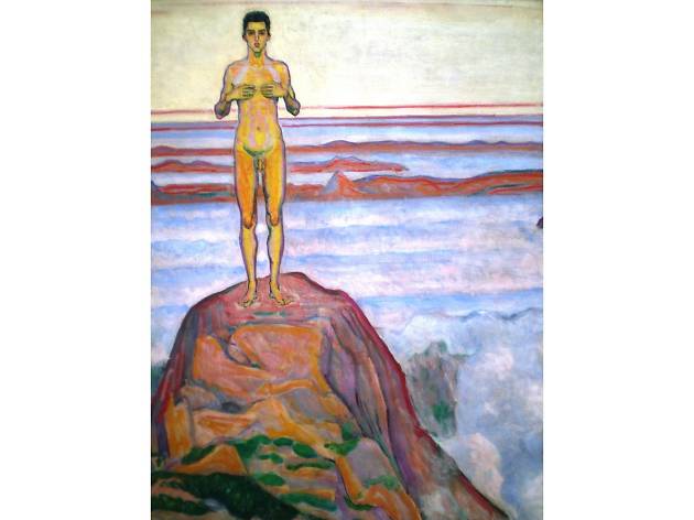 Nus incongrus : Hodler Nus incongrus : Hodler