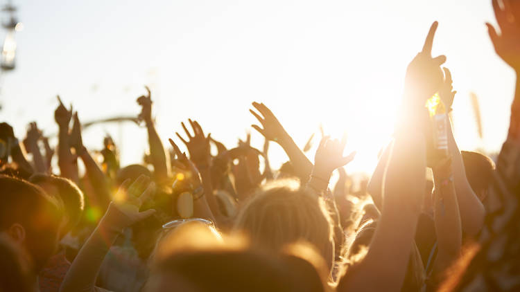 festival, crowd