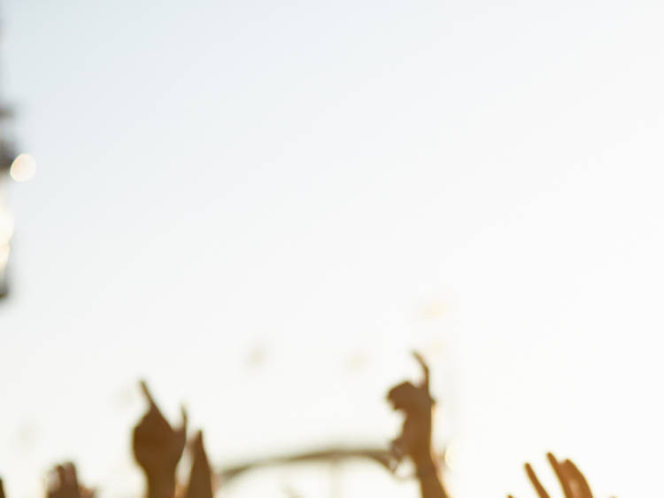 festival, crowd