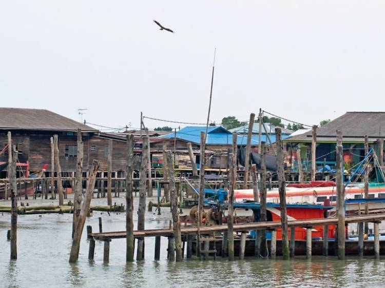 Go fishing at Kampung Sungai Lima