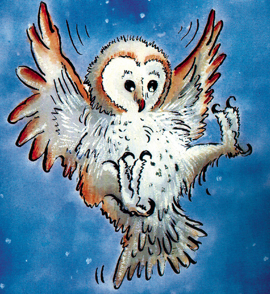 The Owl Who Was Afraid of the Dark | Theatre in Leeds