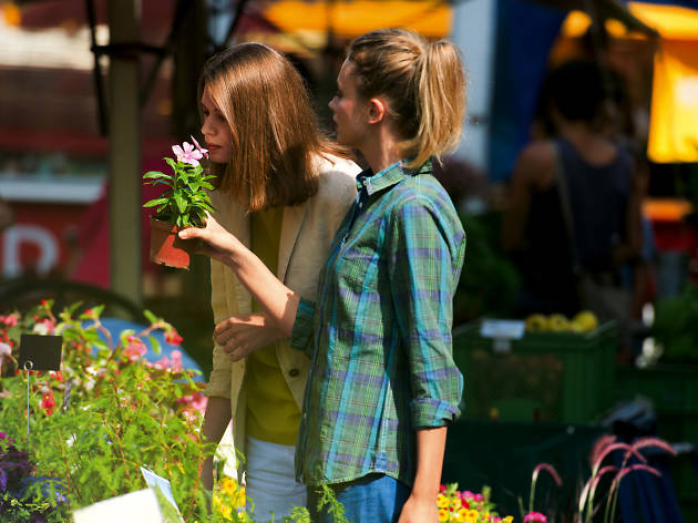 Market Market