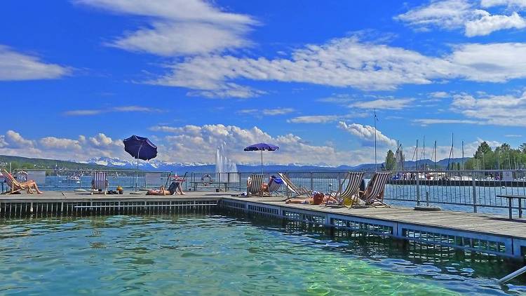 Zurich's best badis