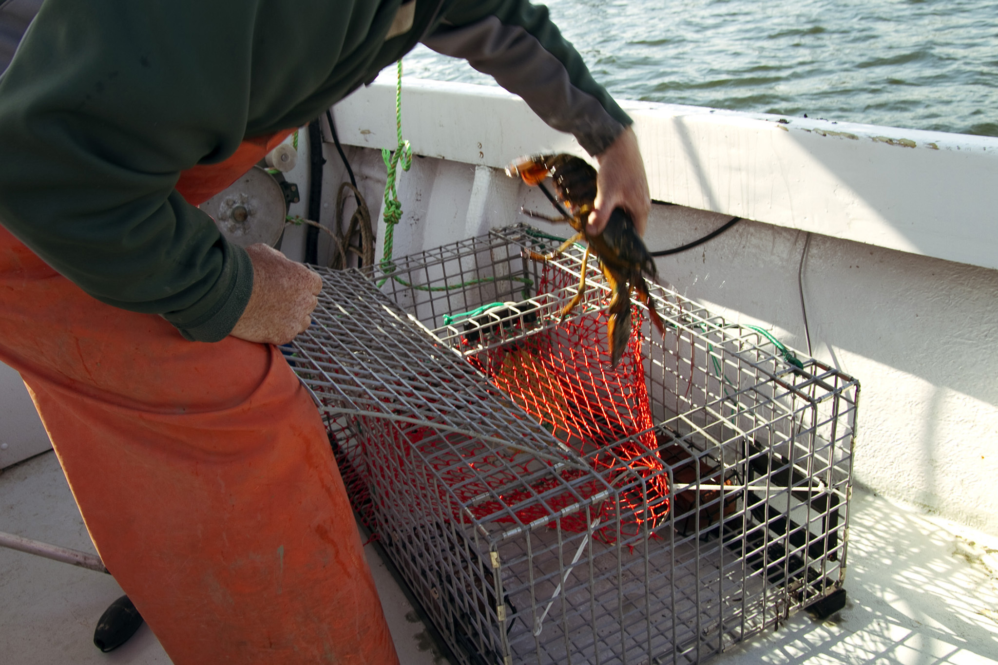 Boston city tours for locals and tourists to sightsee the city