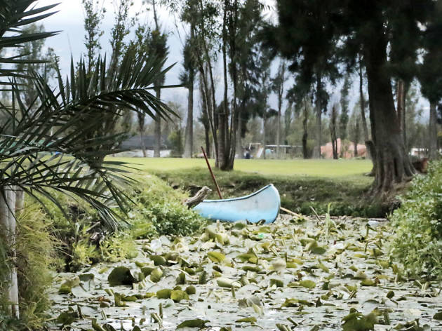 De la Chinampa De la Chinampa