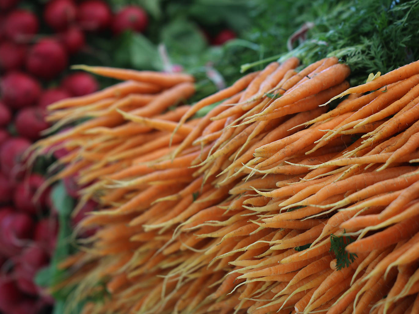 13 Amazing Farmers’ Markets NYC Offers For Fresh Produce