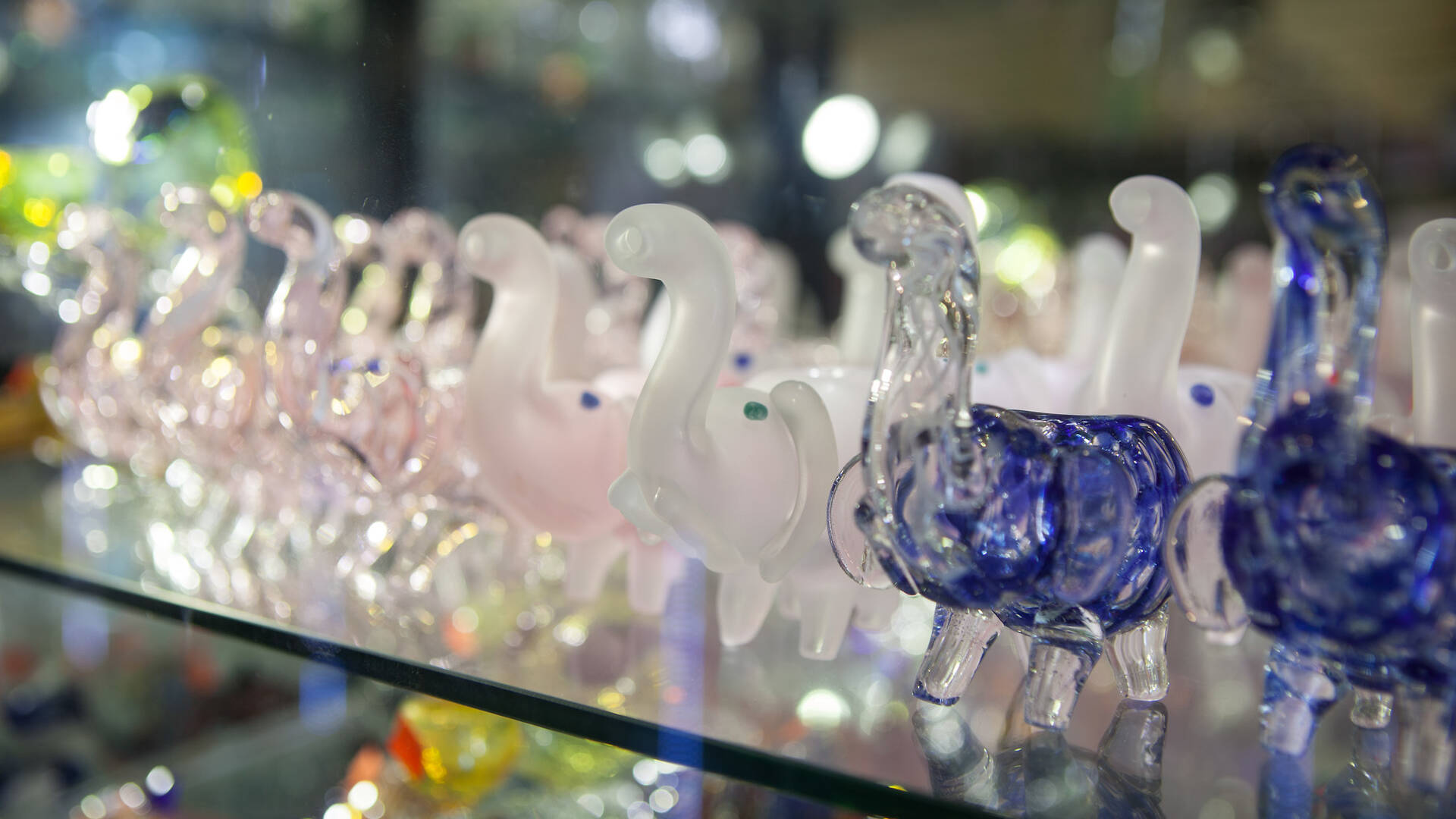 Ash's Bucktown Smoke Shop Shopping in Wicker Park, Chicago