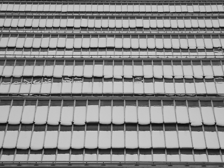 Snow-covered Waverley Station roof