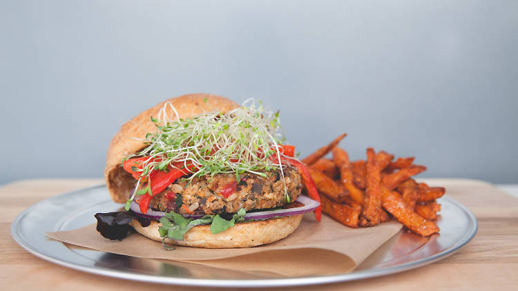 Sprouted Veggie at The Counter