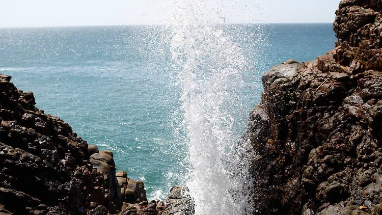 Kudawella Blow Hole is a beach side attraction in Dickwella, Sri Lanka