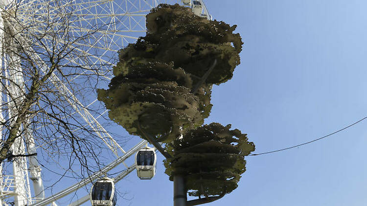 The Tree of Remembrance at Piccadilly Gardens