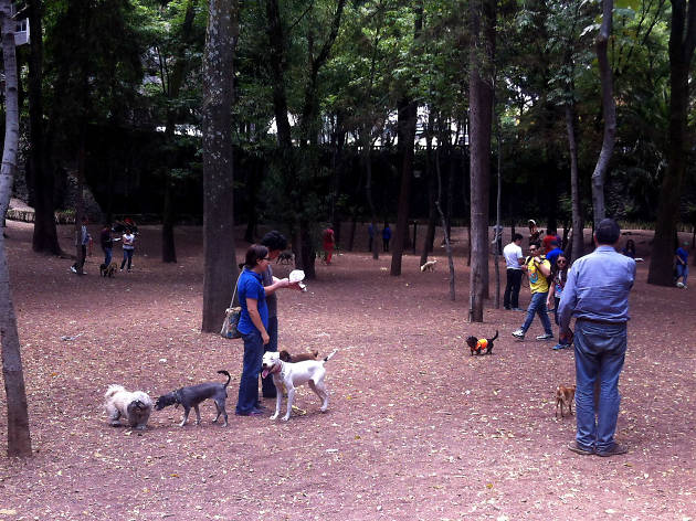 Zona canina Parque Hundido Zona canina Parque Hundido