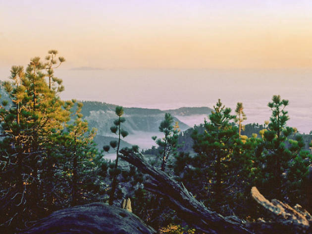 Angeles National Forest