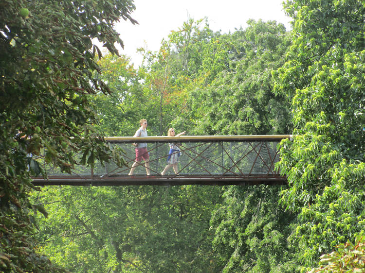 Treetop walkway at Kew Gardens