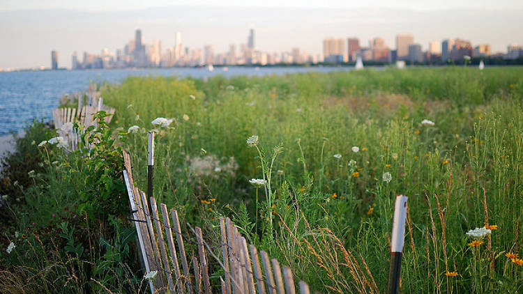 Montrose Bird Sanctuary