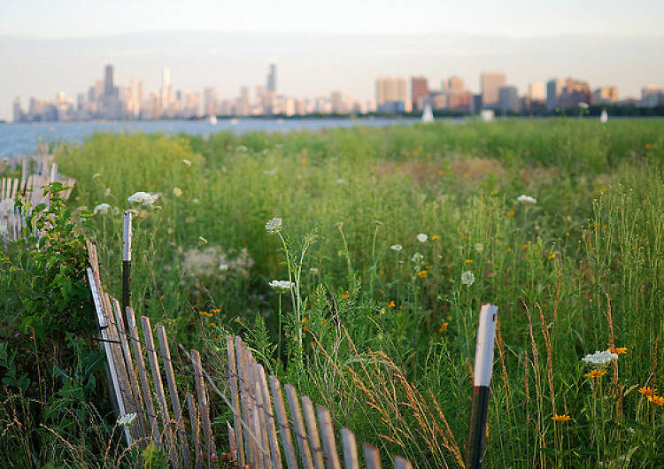 5 great spots for a run that aren't the Lakefront Trail