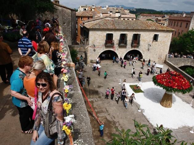 Plaça dels Jurats. Girona, Temps de Flors Plaça dels Jurats. Girona, Temps de Flors