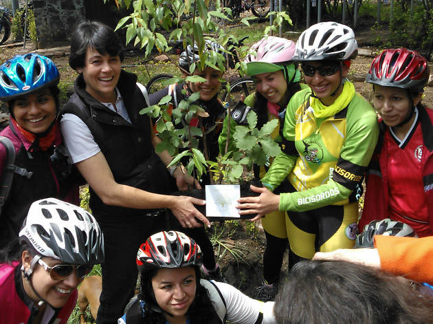Mujeres ciclistas Mujeres ciclistas
