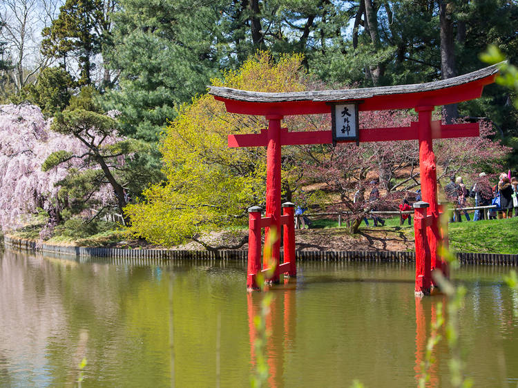 Brooklyn Botanic Garden