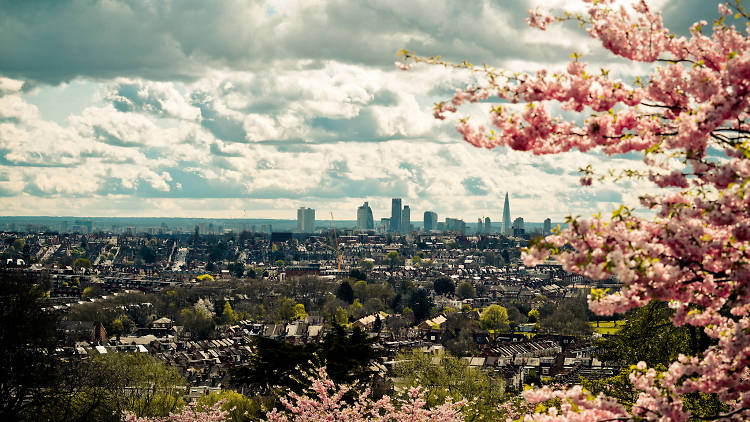 Framed by flowers