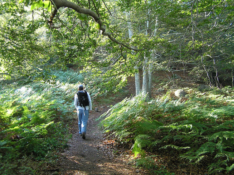 Senderisme Garraf