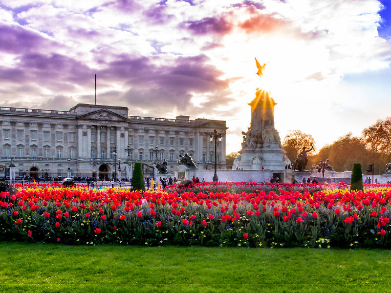 london flowers buckingham palace timeout