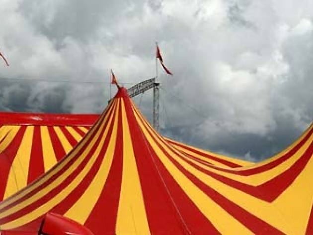Circ carpa Circ carpa