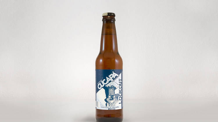 Cucapá Lookout American Blonde Ale