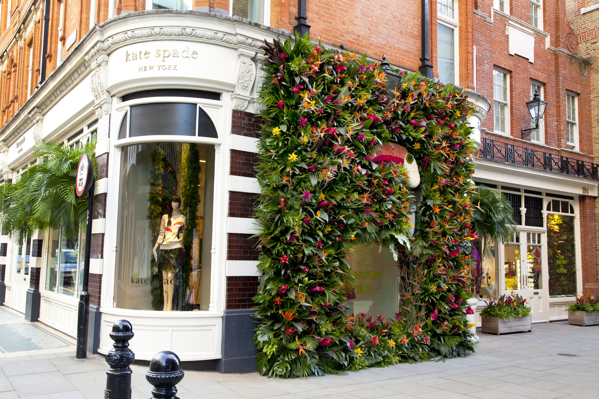 Chelsea in Bloom | Things to do in London