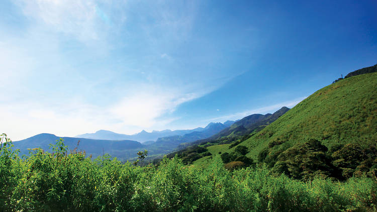 Knuckles Forest Reserve is a forest reserve in Sri Lanka