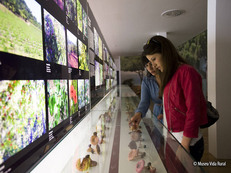 Museu de la Vida Rural