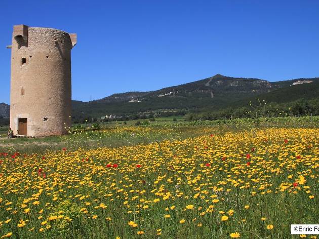 Torre Mixarda Torre Mixarda
