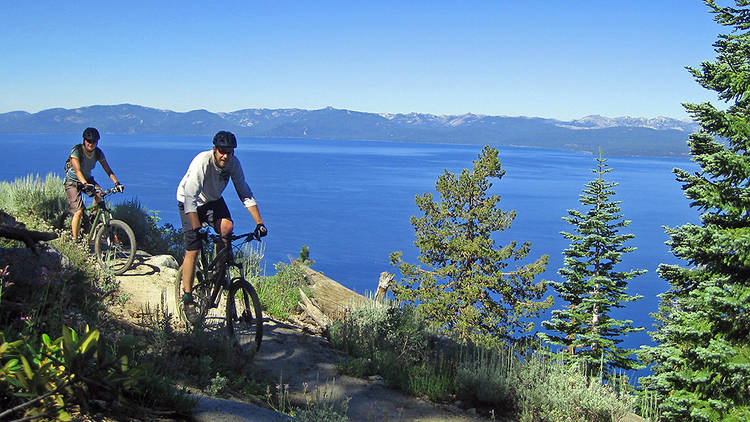 Mr. Toad’s Wild Ride | Lake Tahoe, CA